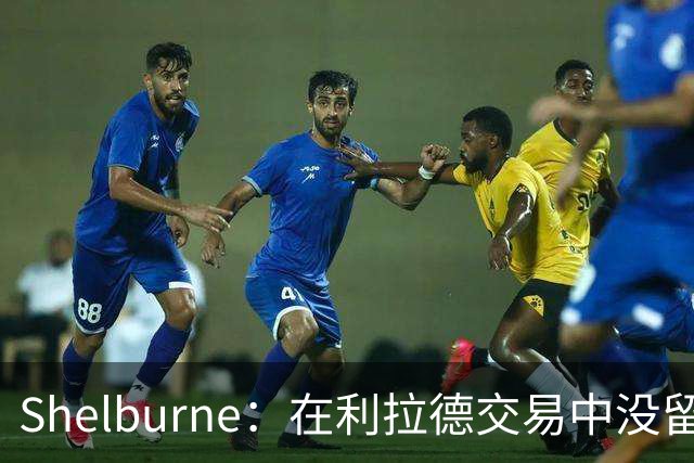 Shelburne：在利拉德交易中没留住霍勒迪是字母哥离开雄鹿的原因